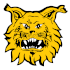 /logos/ilves.png